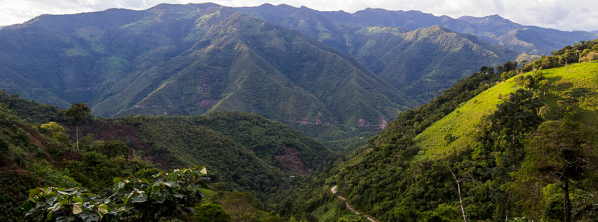 Ecuador landscape by Wendy Willis