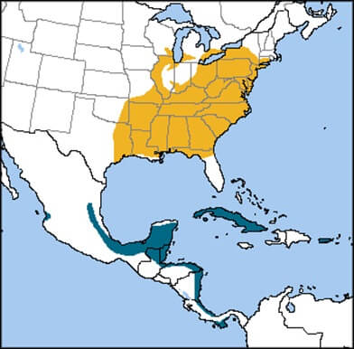 Hooded Warbler range map, NatureServe