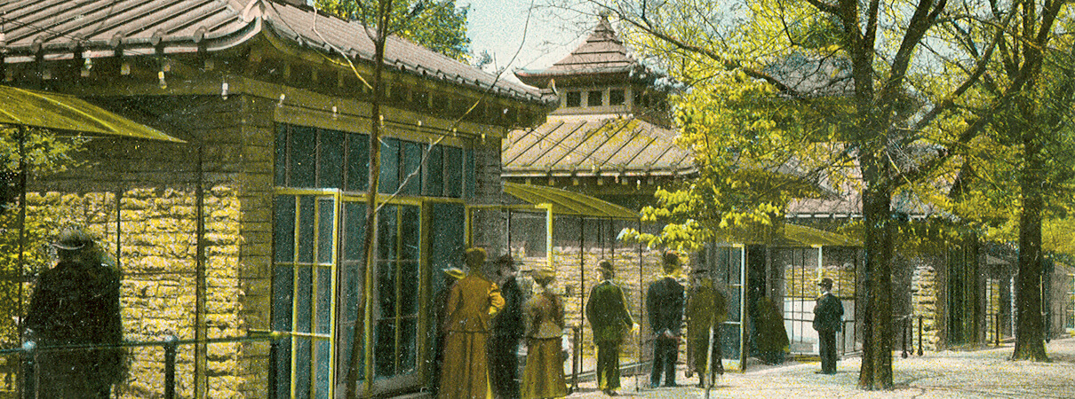 Cincinnati Zoo_postcard_Public domain