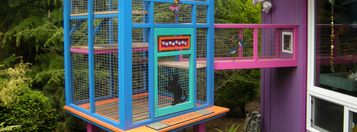 A colorful catio. Photo by Catio Spaces, catios