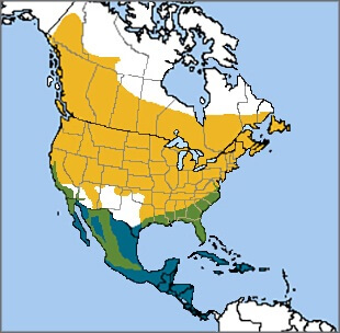 Common Yellowthroat map, NatureServe