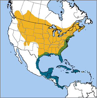 Gray Catbird range map, NatureServe