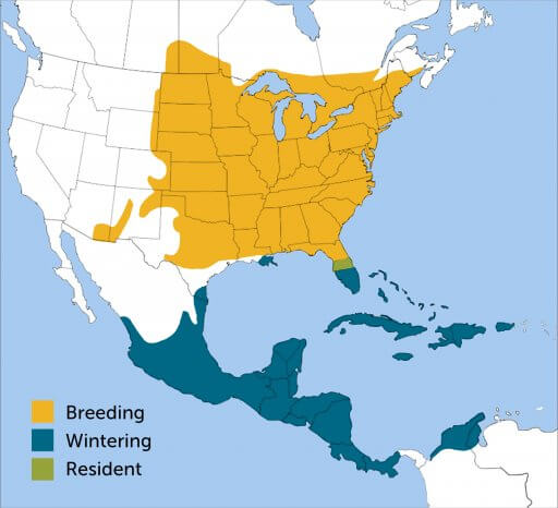 Indigo Bunting range map by ABC