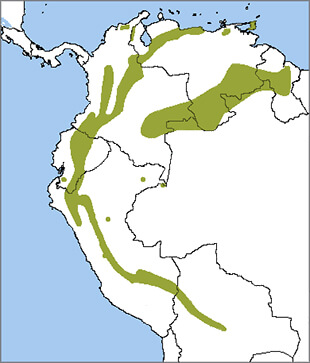 Oilbird map, NatureServe