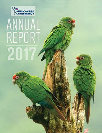 Annual Reports American Bird Conservancy