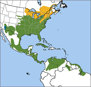 Eastern Meadowlark map, NatureServe