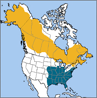 Rusty Blackbird map, NatureServe