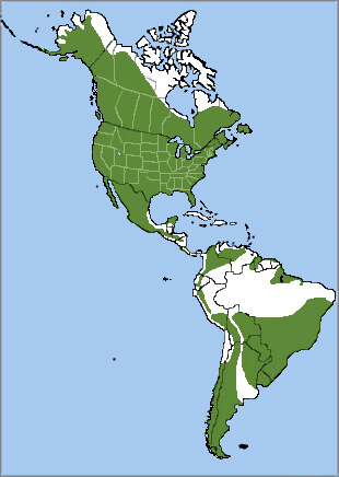 Great Horned Owl map, NatureServe
