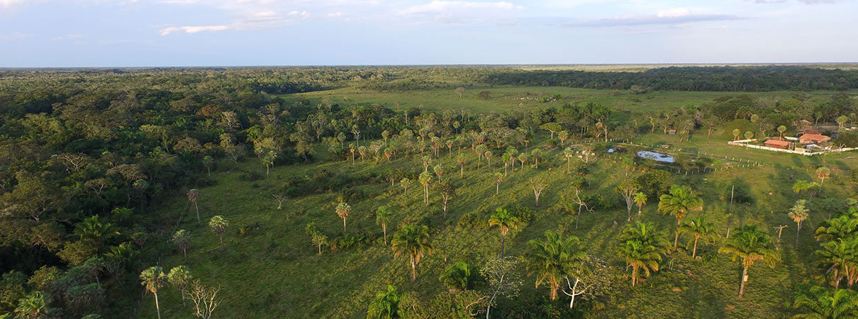 aney Rickman Nature Reserve. Photo by Asociacion Armonia