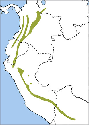 Andean Cock-of-the-rock range map, NatureServe