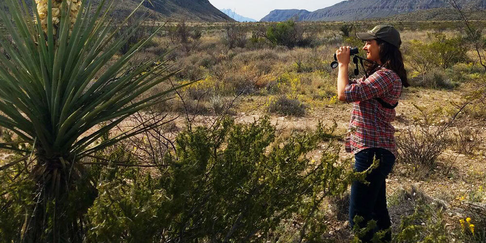 Aimee watches sparrows and Lark Buntings in the Chihuahuan Desert. Photo by Jeff Bennett