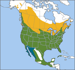 Red-Winged Blackbird map, Cornell Lab of Ornithology