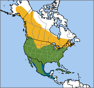 Red-tailed Hawk range map, NatureServe