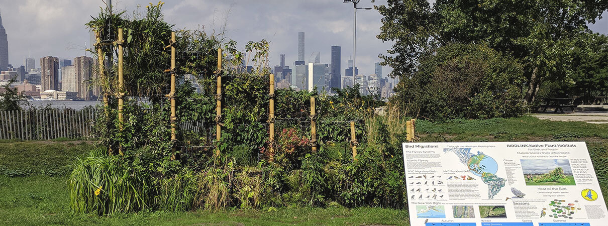 BIRDLINK installation at East River State Park in New York City. Photo courtesy of Anina Gerchick