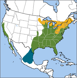 Red-shouldered Hawk range map, NatureServe