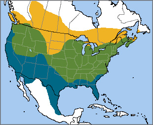 American Goldfinch range map, NatureServe
