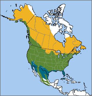 American Robin range map, NatureServe