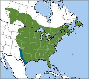Blue Jay range map, NatureServe
