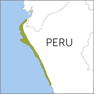 Peruvian Plantcutter range map, BIrds of North America