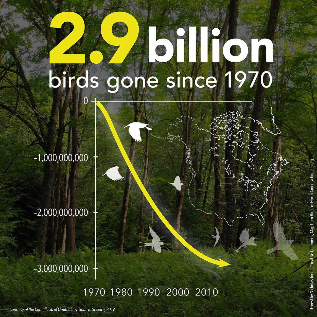 2.9 birds have disappeared. Courtesy of the Cornell Lab of Ornithology. Source: Science, 2019. Forest by Nicholas Tonelli/Creative Commons. Map from Birds of America, birdsna.org