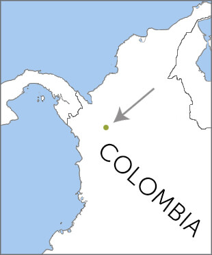 Antioquia Brushfinch range map, Cornell