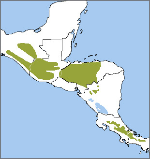 Resplendent Quetzal range map, NatureServe