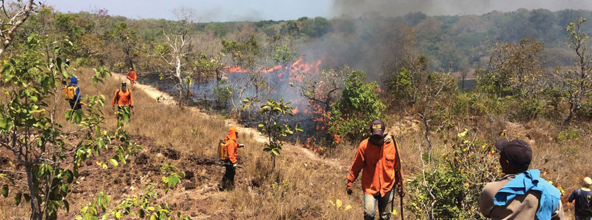 Wildfire in Brazil. Photo by Instituto Araguaia