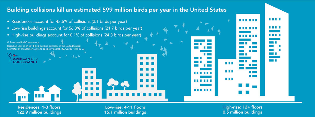Graphic by American Bird Conservancy