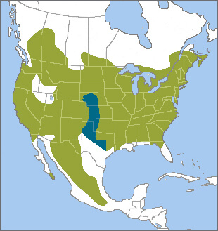 White-breasted Nuthatch range map, Cornell