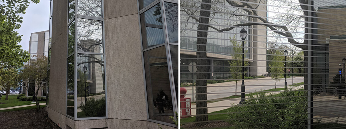 Bird-safe glass used at Francis Searle Hall, Northwestern University. Photos by American Bird Conservancy