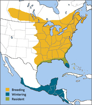 Ruby-throated Hummingbird range map, Birds of North America, https://birdsna.org maintained by the Cornell Lab of Ornithology