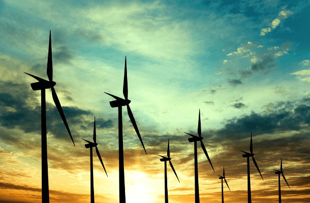 Among its uses, ABC's updated Wind Risk Assessment Map can help companies avoid siting wind energy facilities in high-collision-risk areas where birds concentrate. Photo by majeczka/Shutterstock