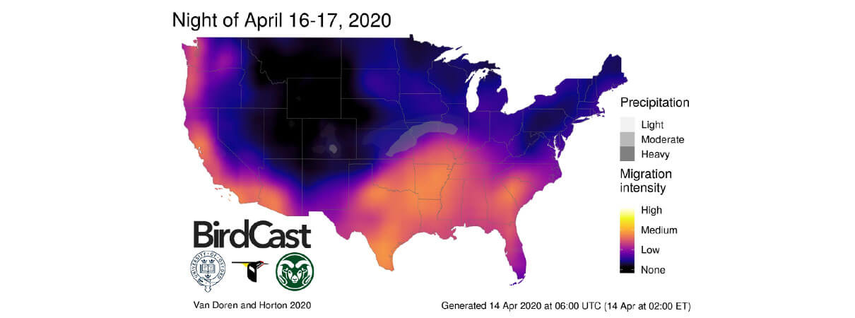 When will migratory birds arrive? Find out using these bird migration maps