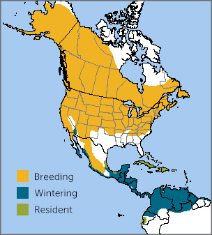 Yellow Warbler range map, NatureServe