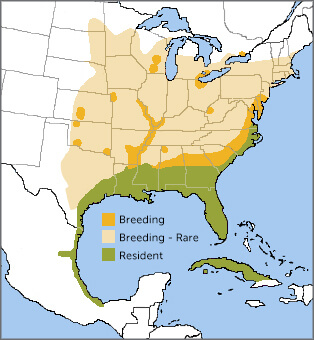 King Rail range map by Birds of the World, NatureServe.