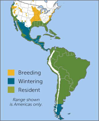 Great Egret range map by American Bird Conservancy