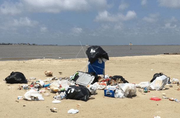 Trash and plastics pose a persistent and growing threat to birds and other wildlife. Photo by Kristen Vale