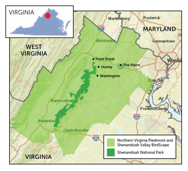 Northern Virginia Piedmont and Shenandoah Valley BirdScape