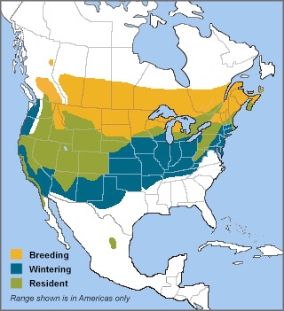 Long-eared Owl range map