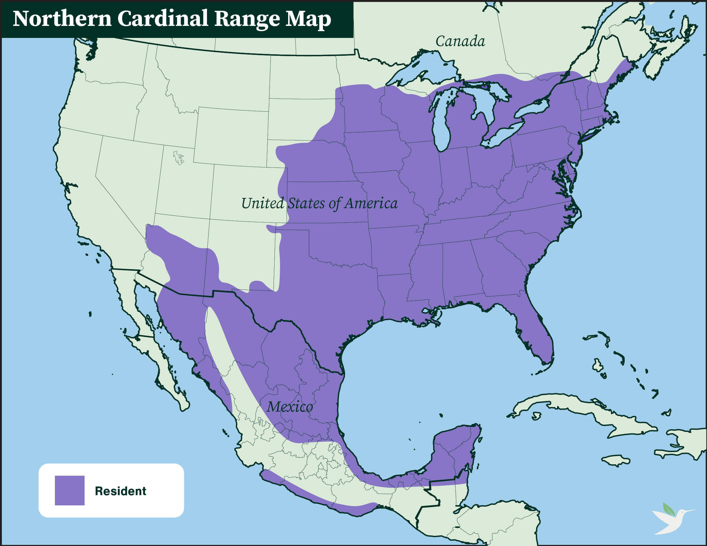 Northern Cardinal range map by ABC