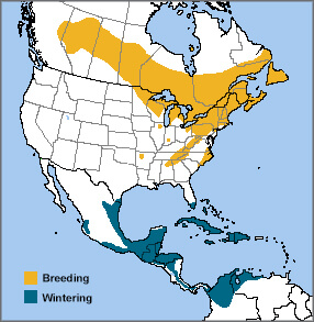 Black-throated Green range map by ABC