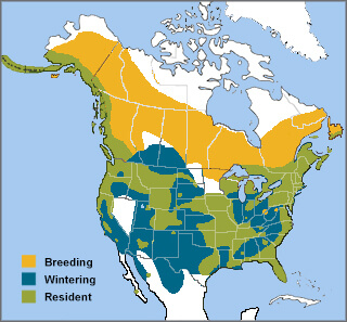 Bald Eagle range map by ABC