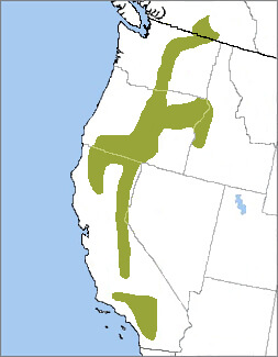 White-headed Woodpecker range map by NatureServe