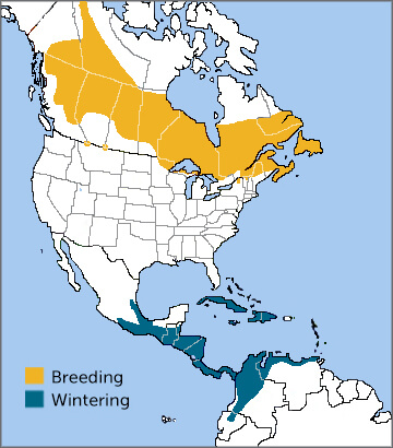 Tennessee Warbler map by ABC