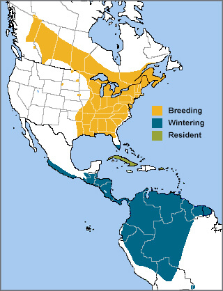 Broad-winged Hawk range map by ABC