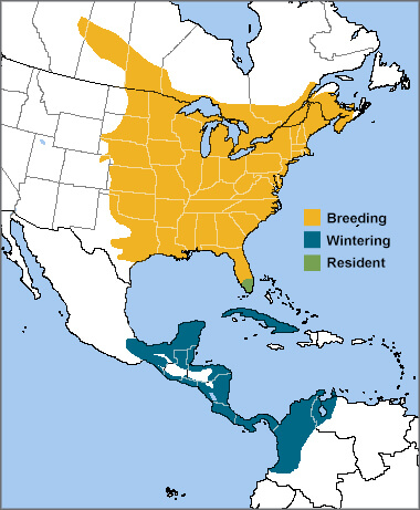 Great Crested Flycatcher range map by ABC.