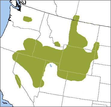 Greater Sage-Grouse map by ABC