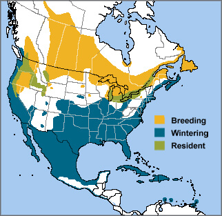 Ring-billed Gull map by ABC