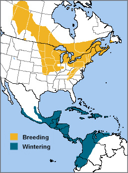 Rose-breasted Grosbeak range map by ABC