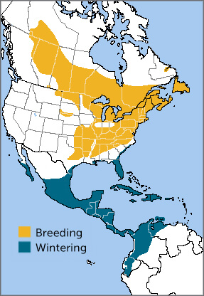 Black-and-white Warbler range map by ABC.
